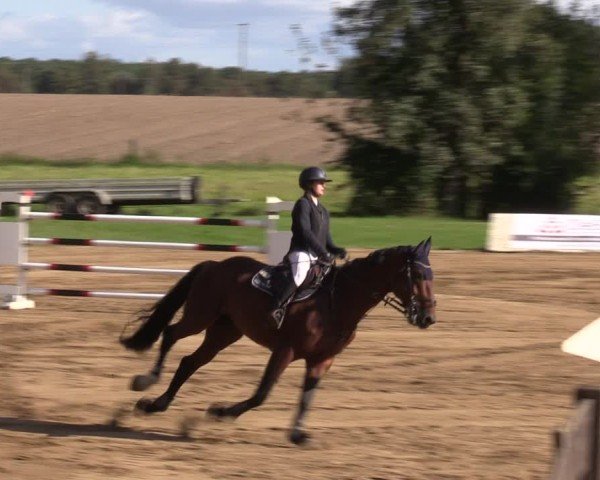 Reitturnier Baitz 2024