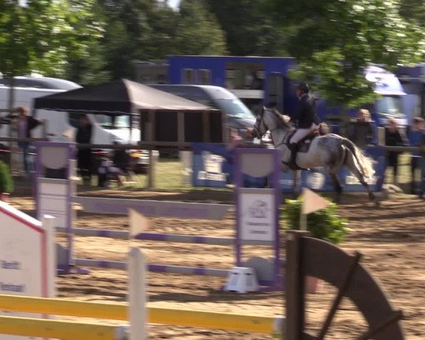 Reitturnier Baitz 2024