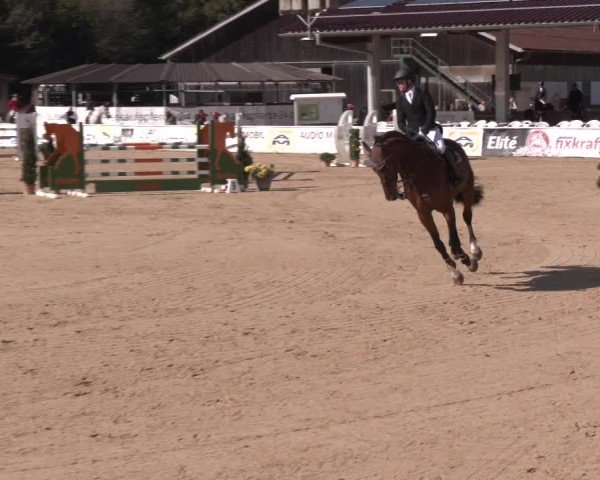 Reitturnier Ranshofen - Braunau am Inn 2024