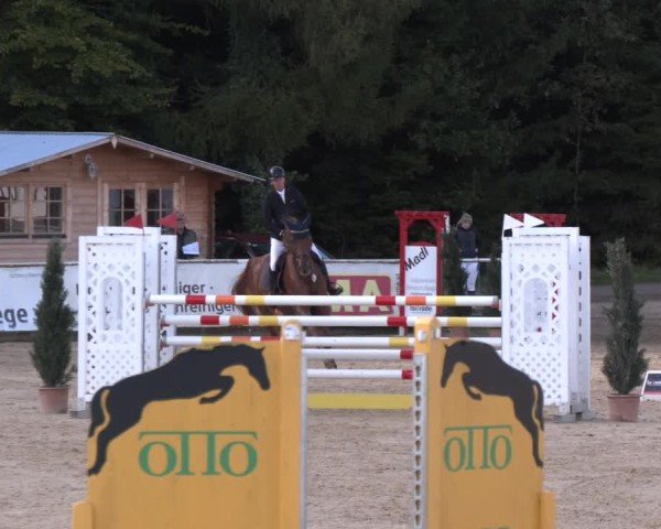 Reitturnier Ranshofen - Braunau am Inn 2024
