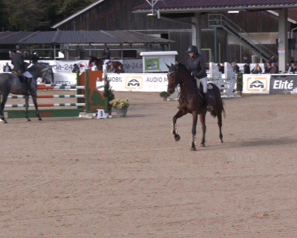 Reitturnier Ranshofen - Braunau am Inn 2024