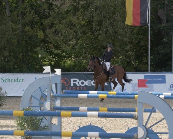Reitturnier Karlsfeld/Obb. 2024