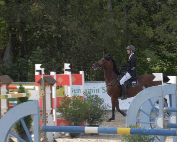 Reitturnier Karlsfeld/Obb. 2024