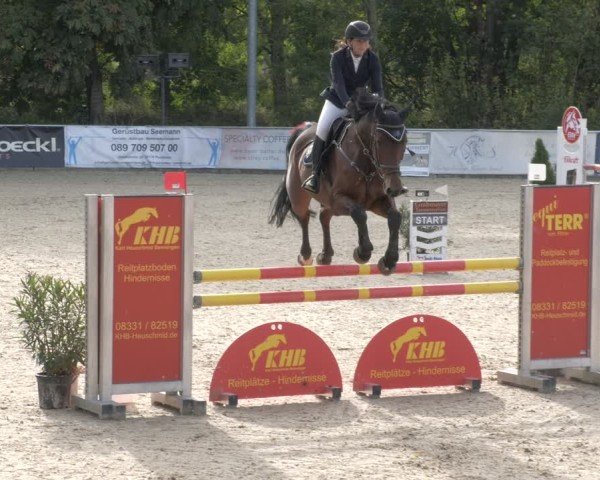 Reitturnier Karlsfeld/Obb. 2024