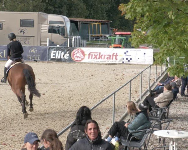 Reitturnier Karlsfeld/Obb. 2024