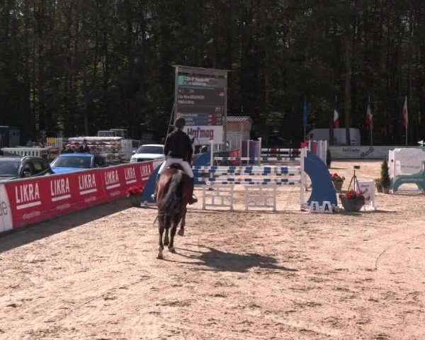 Reitturnier Ranshofen - Braunau am Inn 2024