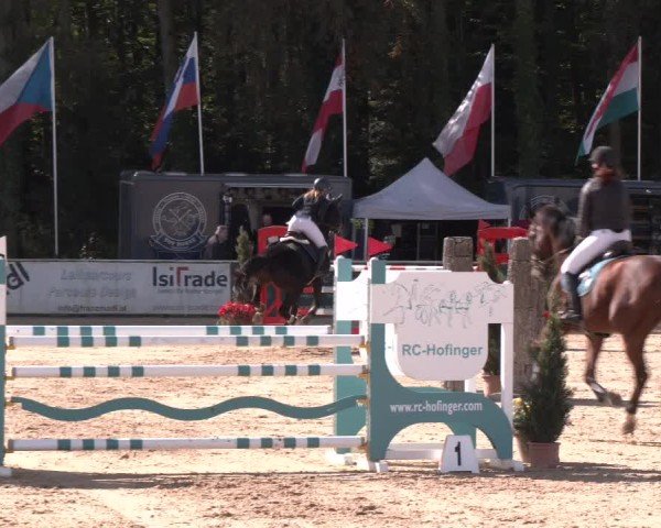 Reitturnier Ranshofen - Braunau am Inn 2024