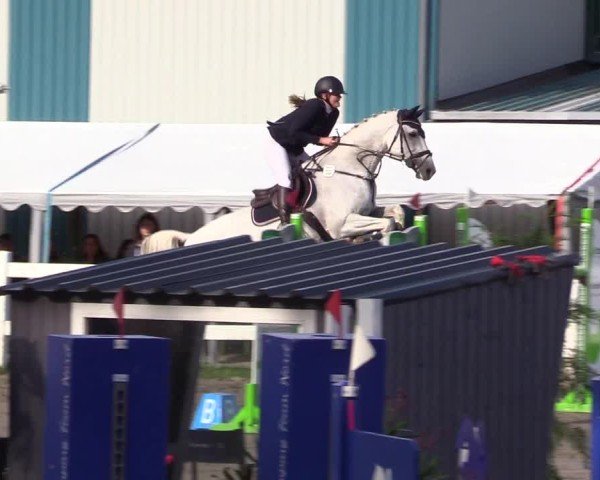 Reitturnier Mildstedt - Jumping Team Nord - 2024