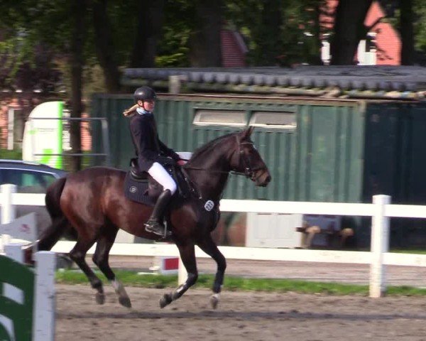 Reitturnier Mildstedt - Jumping Team Nord - 2024
