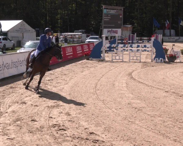 Reitturnier Ranshofen - Braunau am Inn 2024