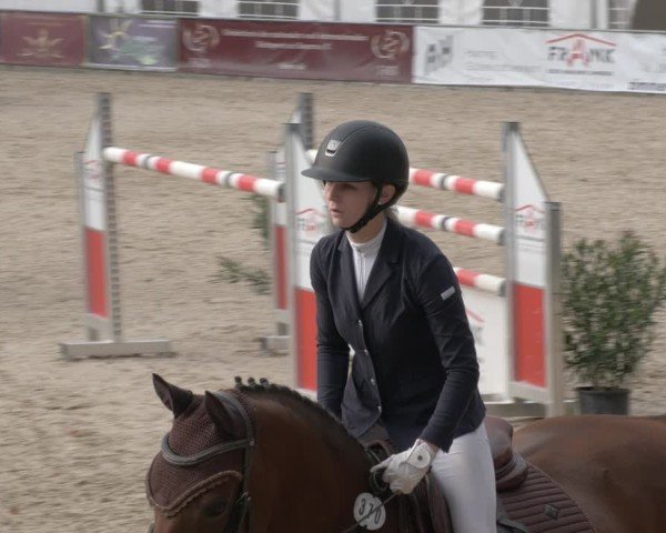 Reitturnier Karlsfeld/Obb. 2024