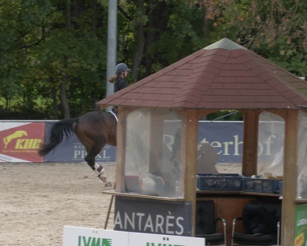 Reitturnier Karlsfeld/Obb. 2024