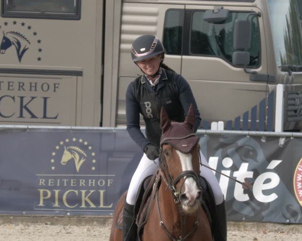 Reitturnier Karlsfeld/Obb. 2024