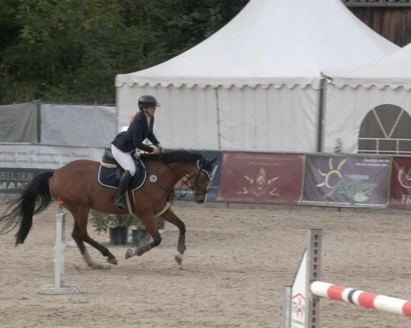 Reitturnier Karlsfeld/Obb. 2024