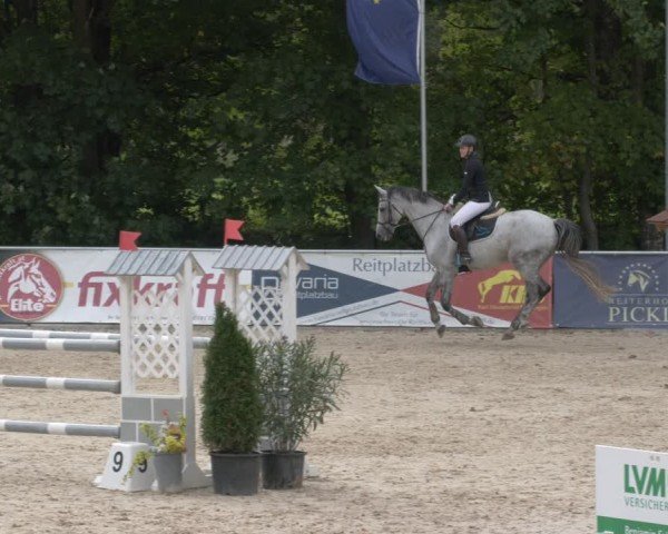 Reitturnier Karlsfeld/Obb. 2024