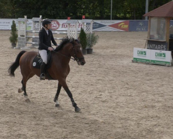 Reitturnier Karlsfeld/Obb. 2024