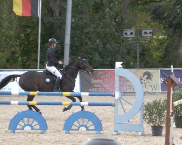 Reitturnier Karlsfeld/Obb. 2024