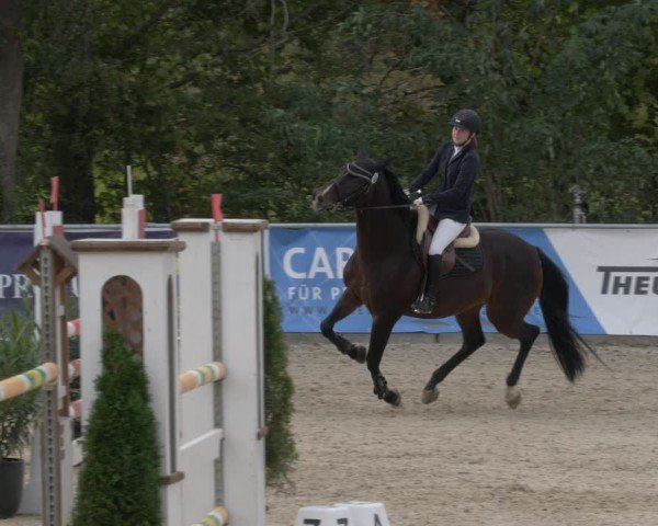Reitturnier Karlsfeld/Obb. 2024