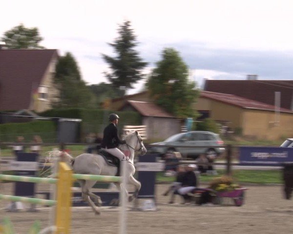 Reitturnier Poxdorf/Ofr 2024