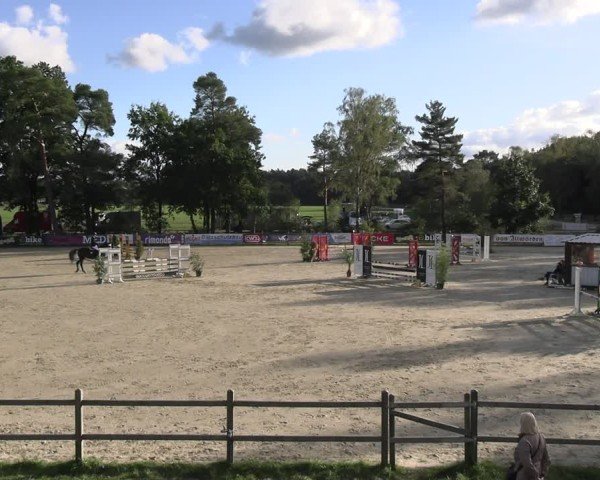 Reitturnier Westergellersen 2024
