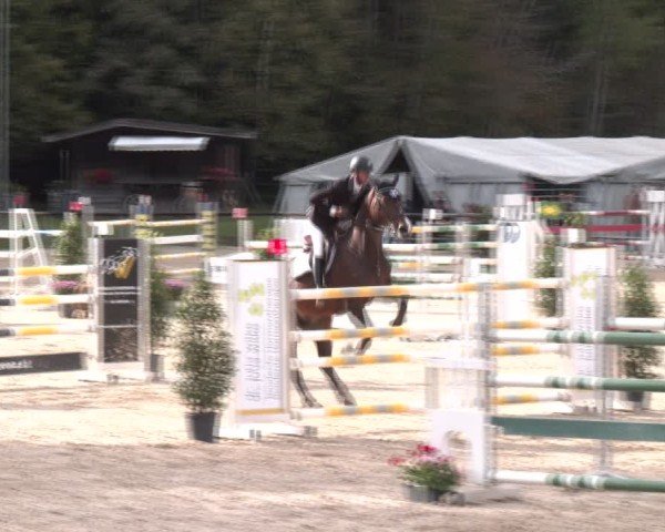 Reitturnier Igls 2024