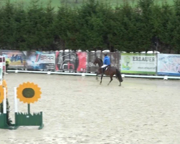 Reitturnier Preding 2024