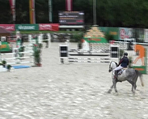Reitturnier Preding 2024
