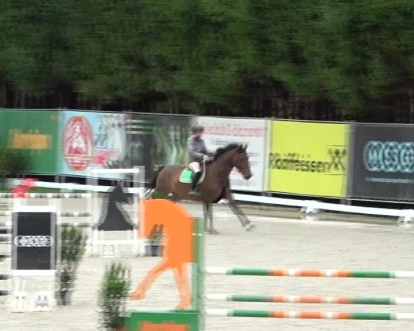 Reitturnier Preding 2024