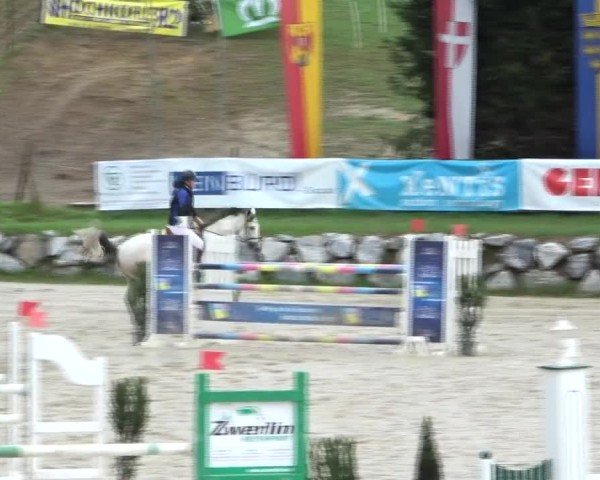 Reitturnier Preding 2024