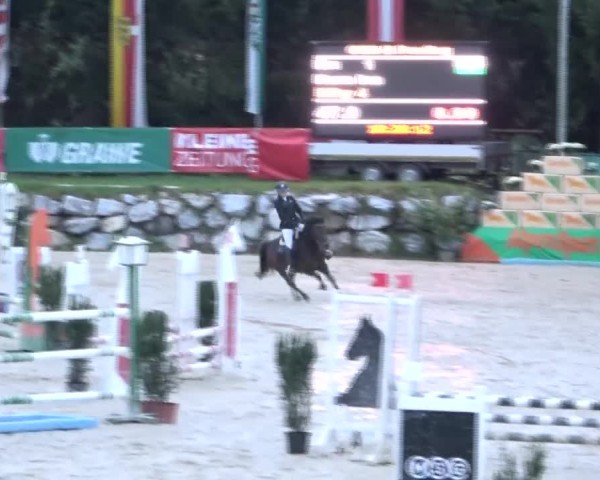 Reitturnier Preding 2024