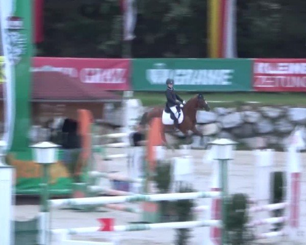 Reitturnier Preding 2024