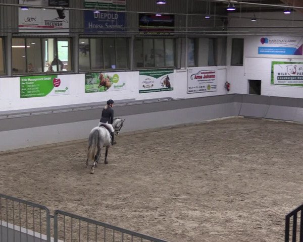 Reitturnier Luhmühlen 2021