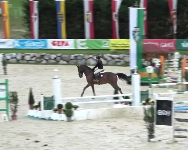 Reitturnier Preding 2024