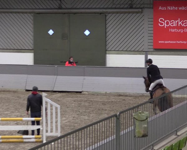 Reitturnier Luhmühlen 2021