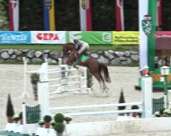Reitturnier Preding 2024