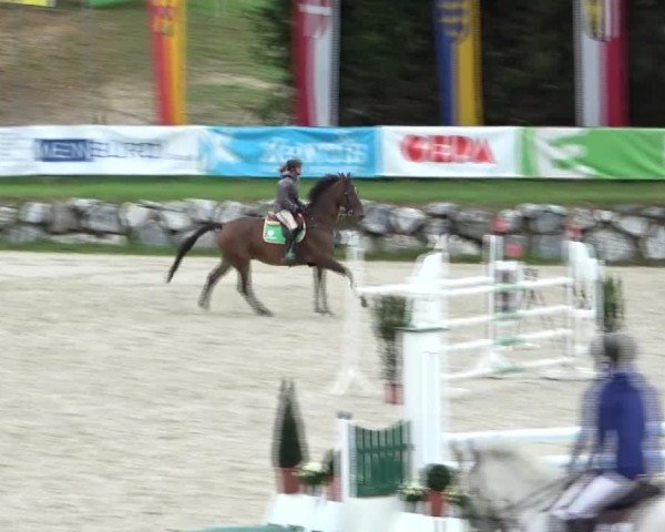 Reitturnier Preding 2024
