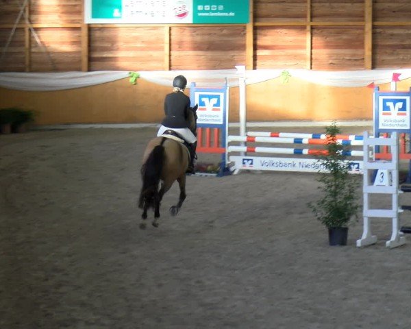 Reitturnier Xanten - Reitanlage Miss 2024