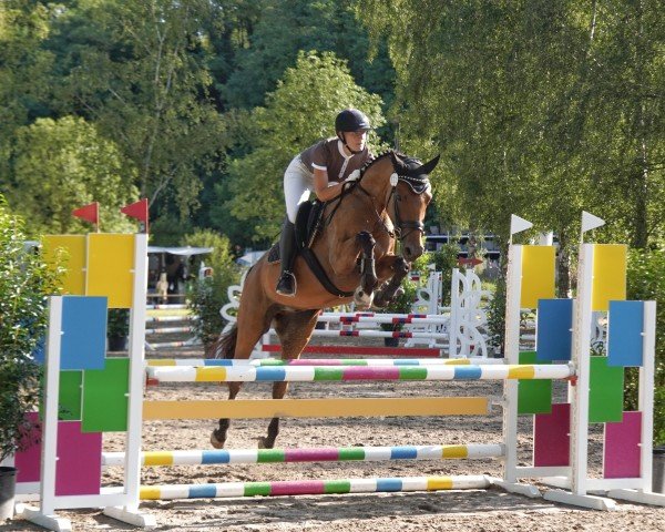 jumper Cremant 9 (Hanoverian, 2018, from K.i Checkter)