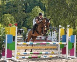 jumper Cremant 9 (Hanoverian, 2018, from K.i Checkter)