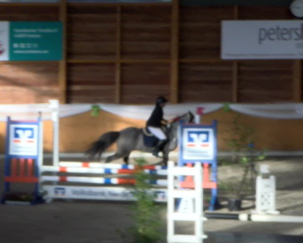 Reitturnier Xanten - Reitanlage Miss 2024