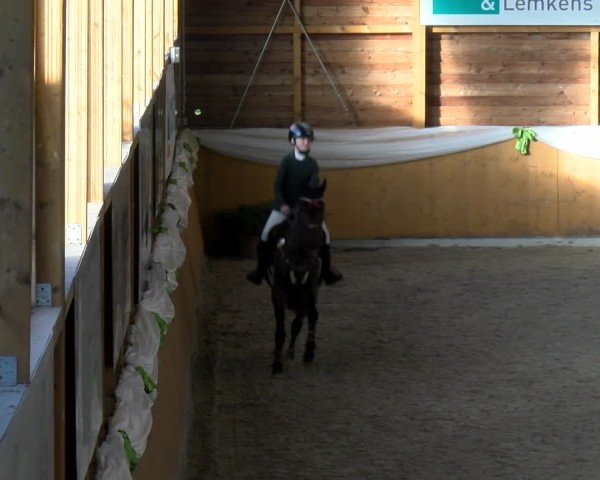 Reitturnier Xanten - Reitanlage Miss 2024