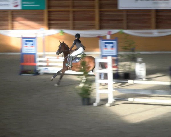 Reitturnier Xanten - Reitanlage Miss 2024