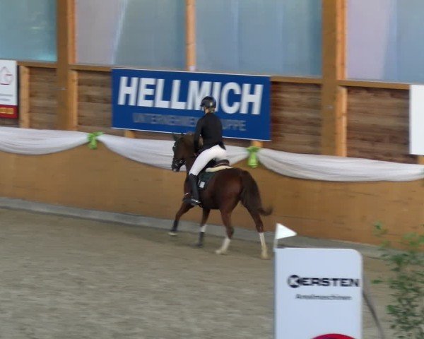 Reitturnier Xanten - Reitanlage Miss 2024