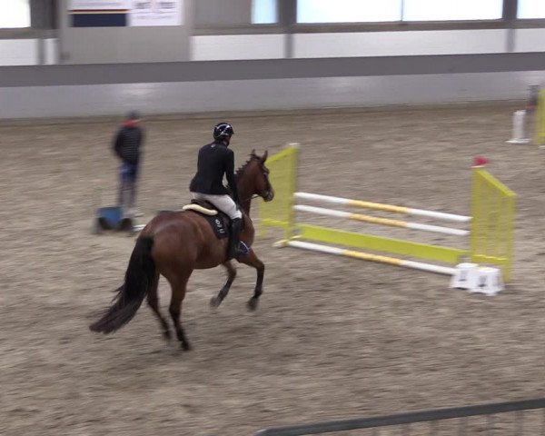 Reitturnier Luhmühlen 2021