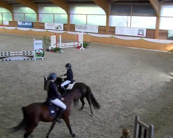 Reitturnier Xanten - Reitanlage Miss 2024