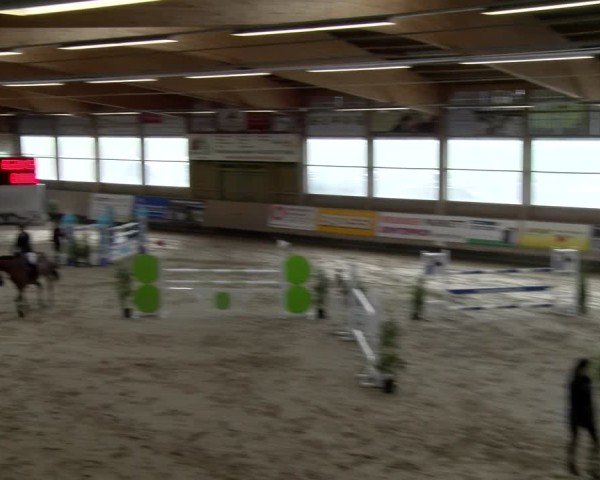 Reitturnier Winterthur 2024