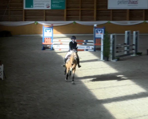 Reitturnier Xanten - Reitanlage Miss 2024