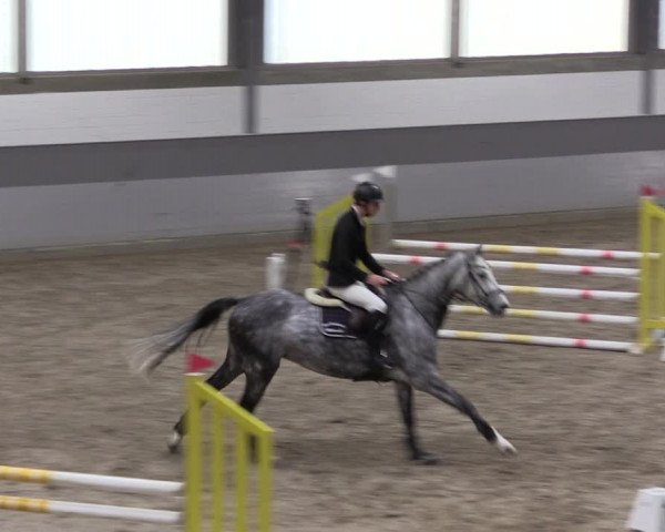 Reitturnier Luhmühlen 2021