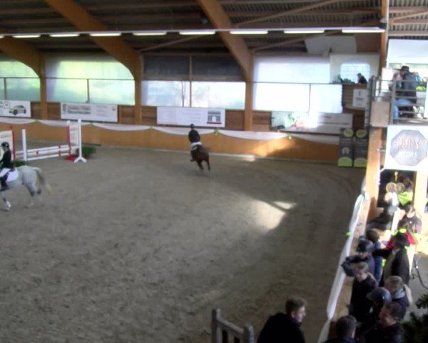 Reitturnier Xanten - Reitanlage Miss 2024