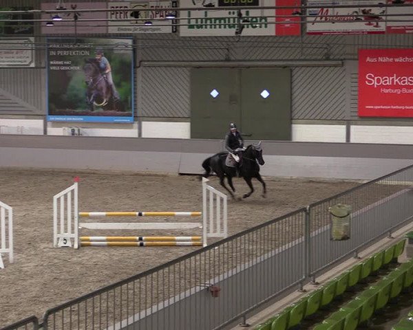 Reitturnier Luhmühlen 2021